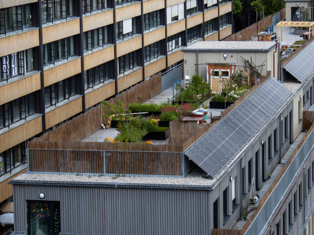 Montessori-Schule