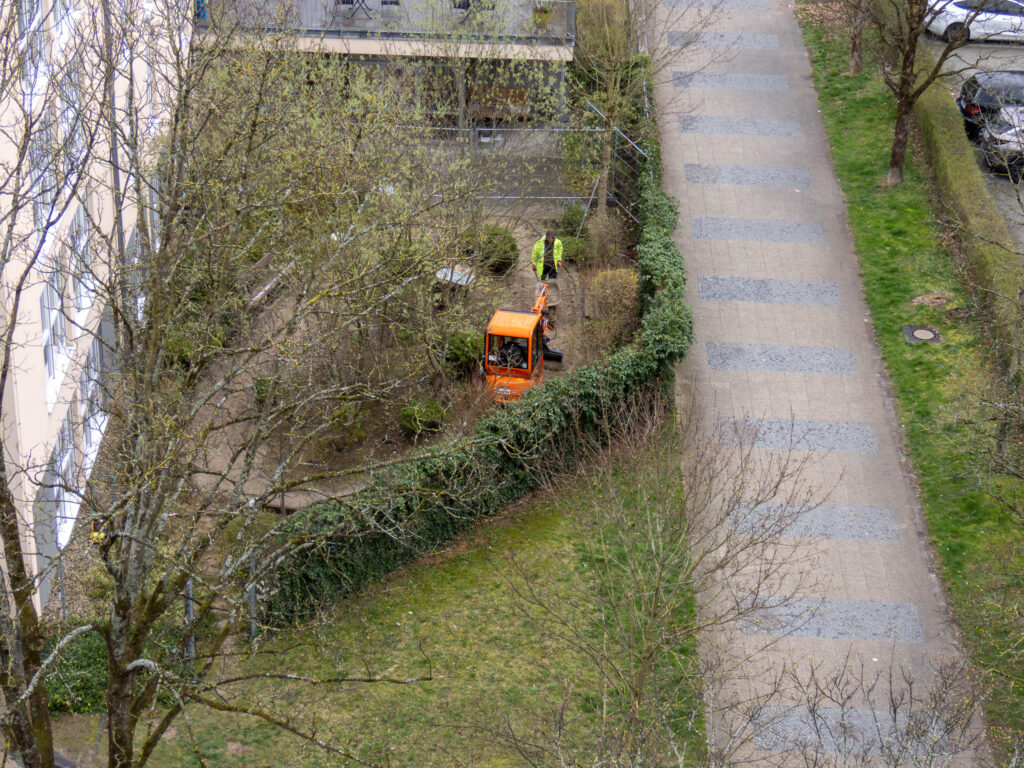 Sanierung Garten II Phönix-Pflegeheim