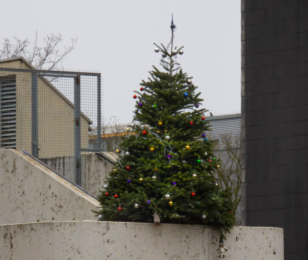 Christbaum Marx-Zentrum