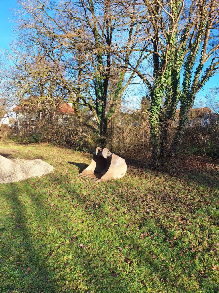 Baumpflanzungen am Karl-Marx-Ring