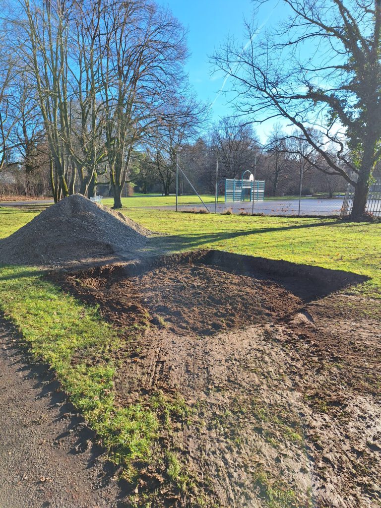 Baumpflanzungen am Karl-Marx-Ring