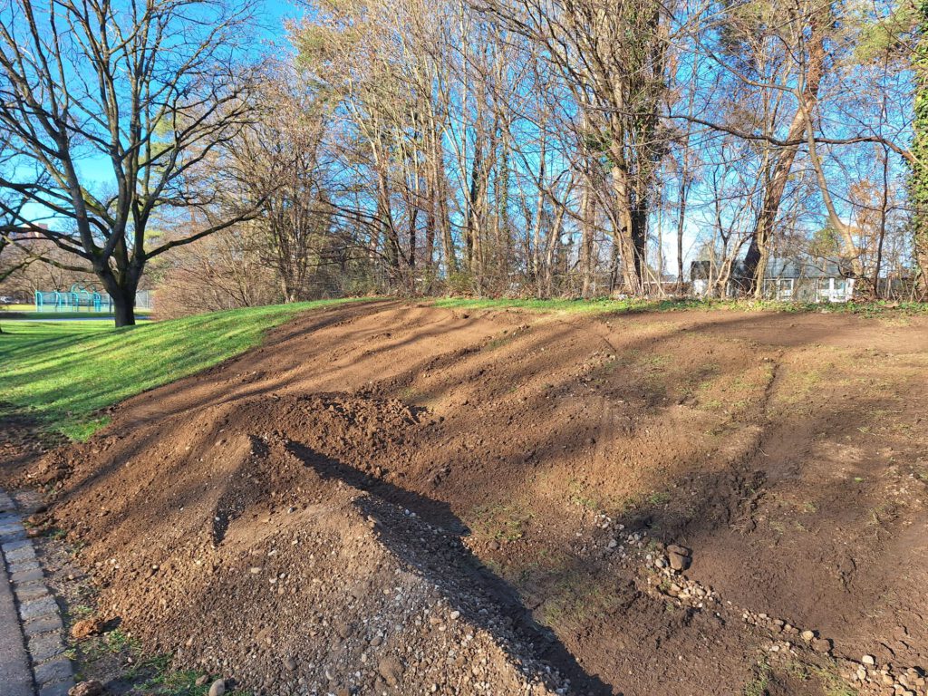 Baumpflanzungen am Karl-Marx-Ring