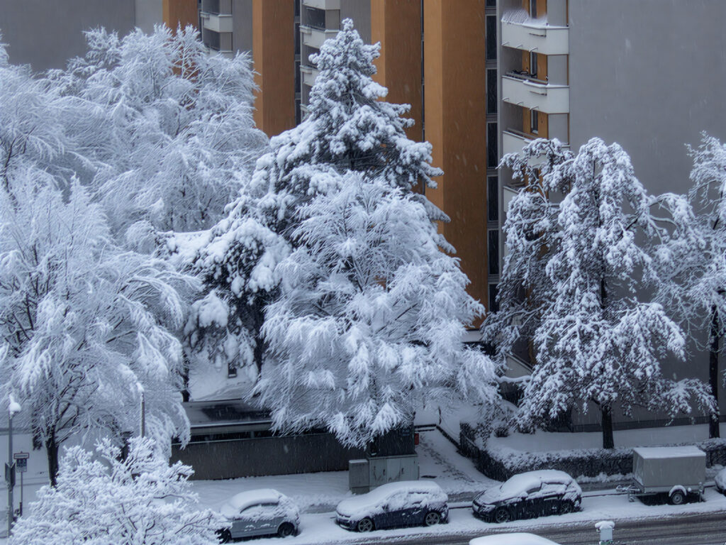 Schnee Ende Februar 2026