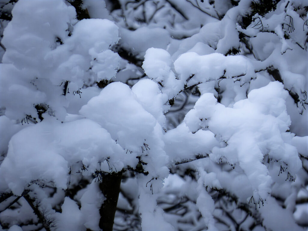 Schnee Ende Februar 2026