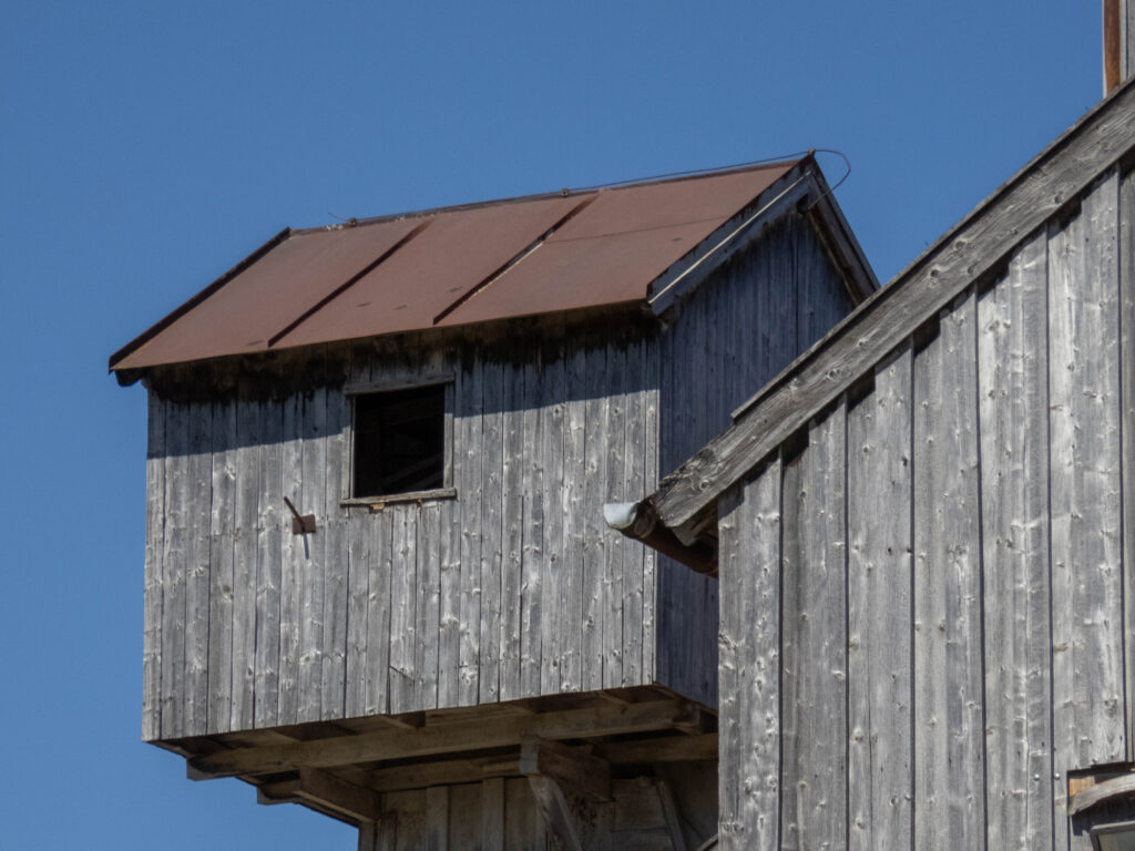 Heartbeatz Charity-Open-Air