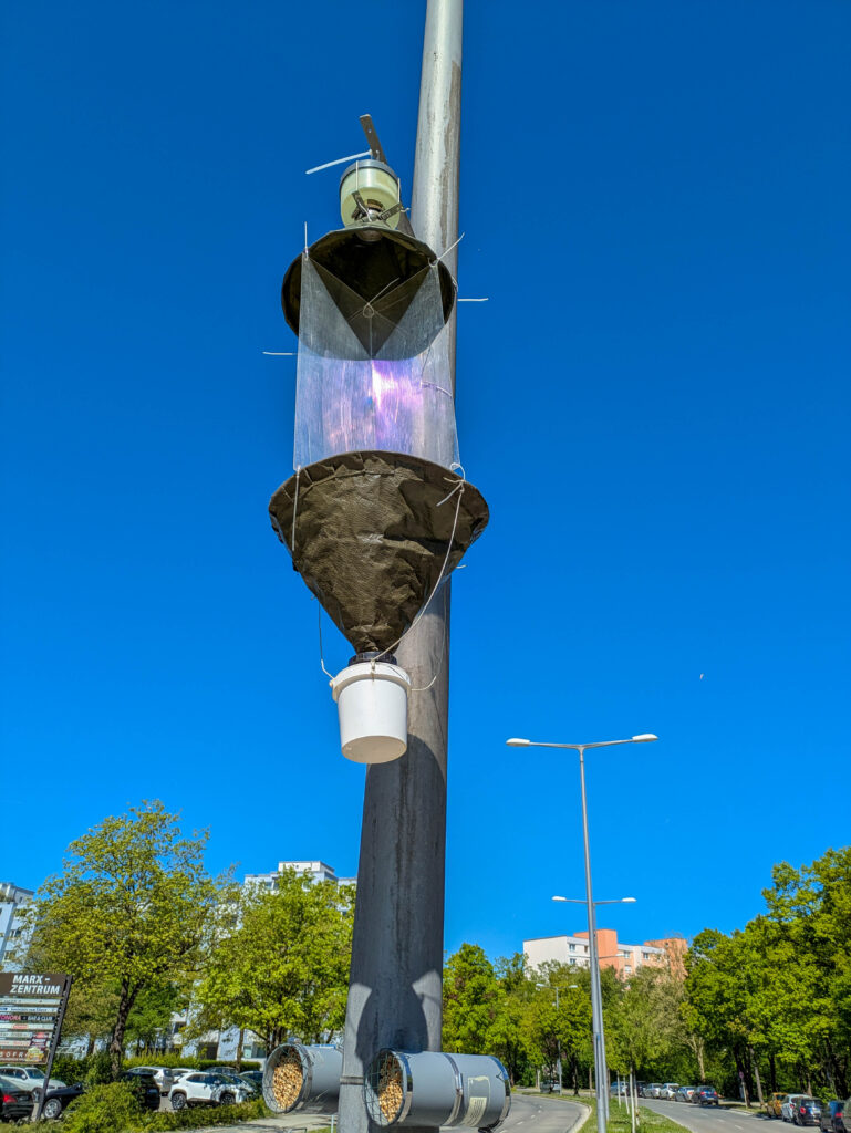 Insektenfalle