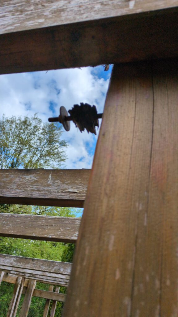 Pergola Karl-Marx-Ring 52–62 zusammengebrochen