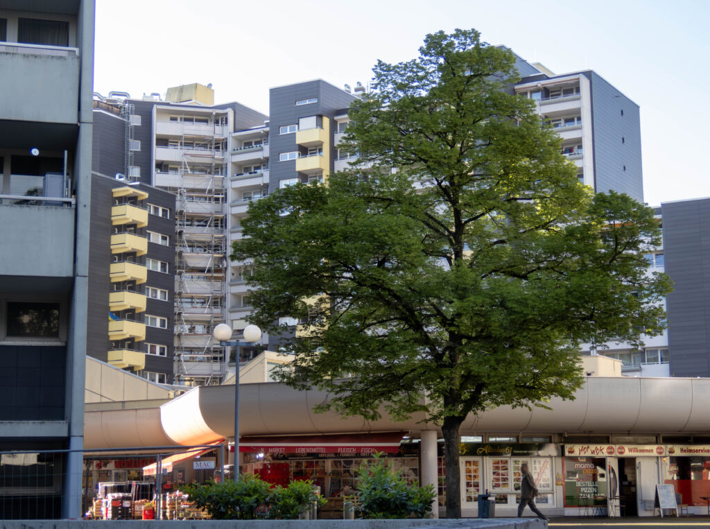 Marx-Zentrum, Peschelanger 14, Gerüstaufbau