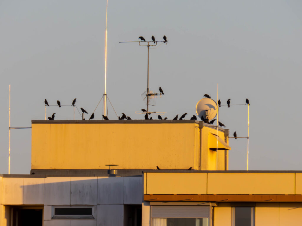 Flugbetrieb in Neuperlach